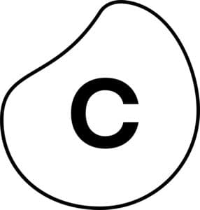 Celonis